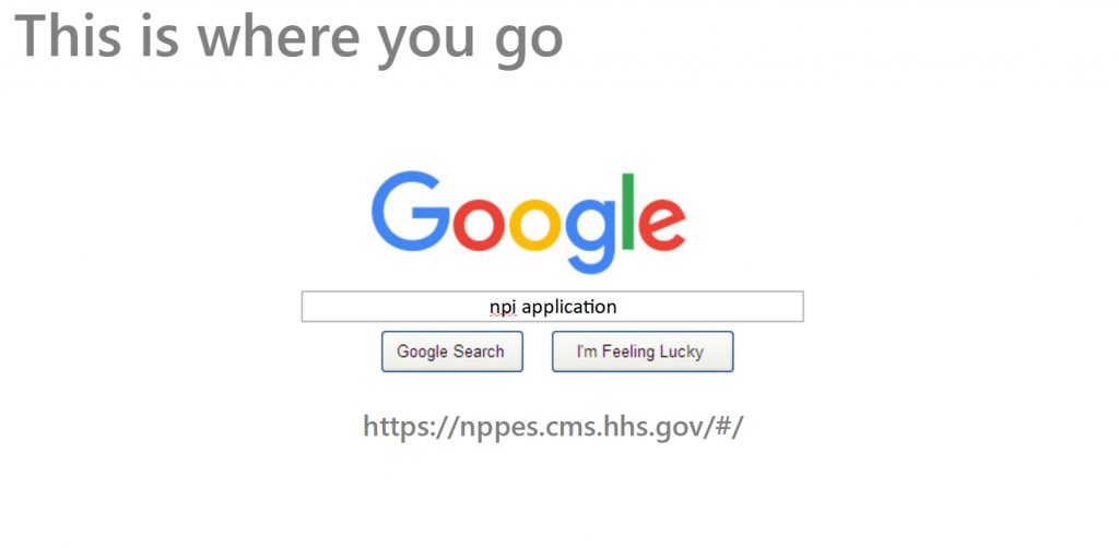 Google search npi application
